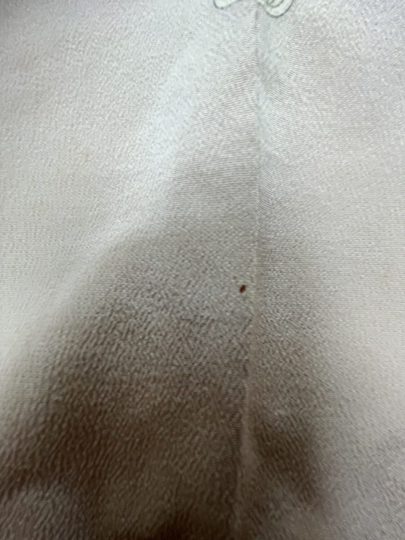 絹の着物の虫食いの穴２